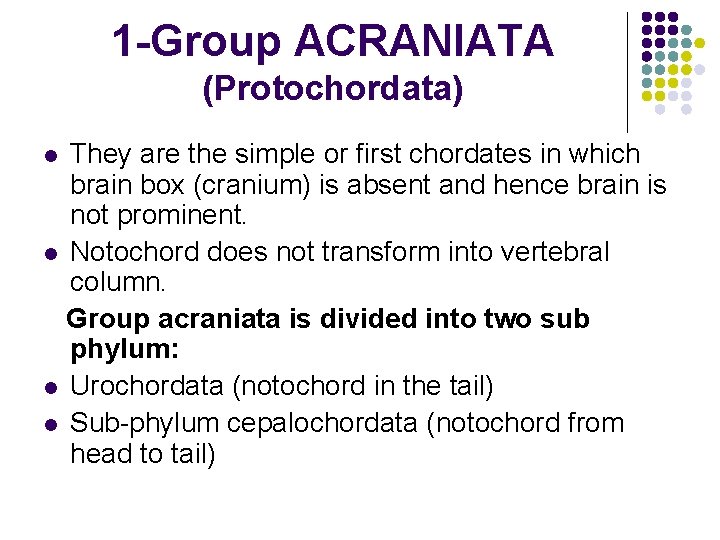 1 -Group ACRANIATA (Protochordata) They are the simple or first chordates in which brain