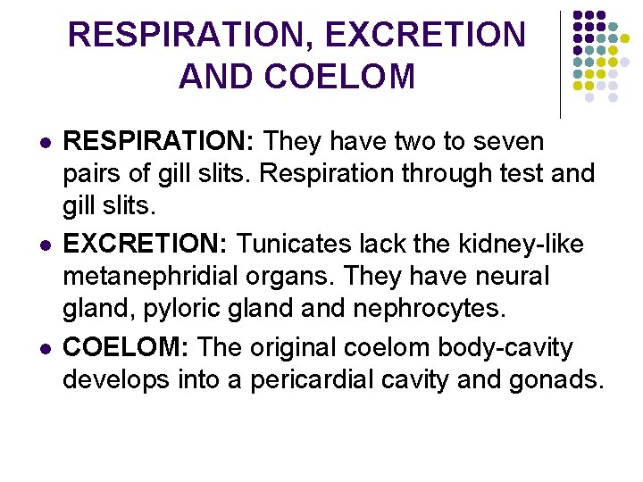 RESPIRATION, EXCRETION AND COELOM l l l RESPIRATION: They have two to seven pairs
