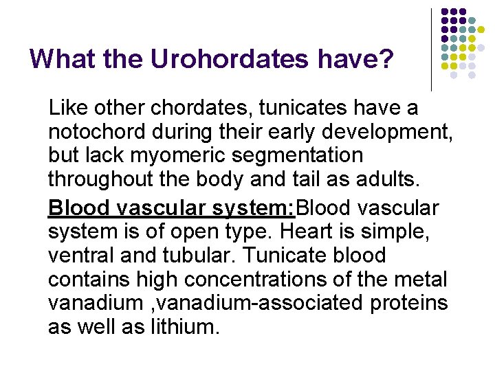 What the Urohordates have? Like other chordates, tunicates have a notochord during their early