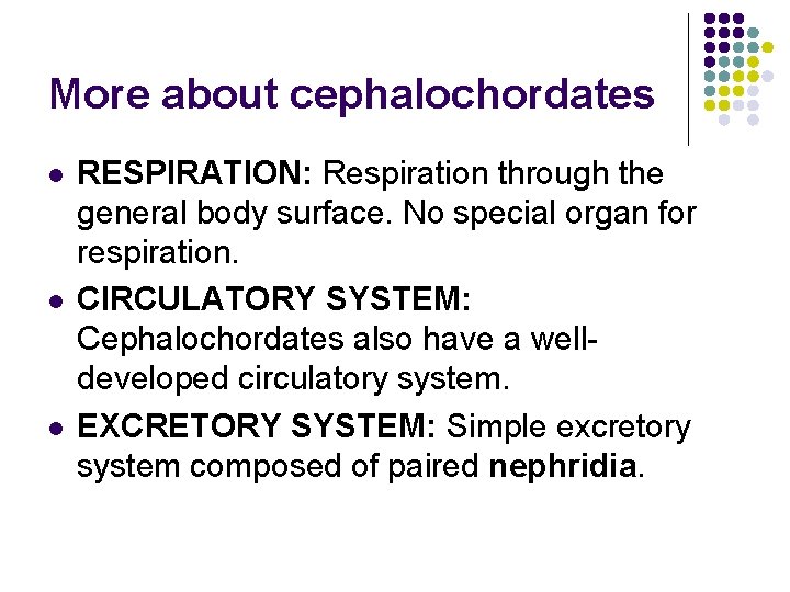 More about cephalochordates l l l RESPIRATION: Respiration through the general body surface. No