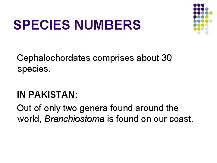 SPECIES NUMBERS Cephalochordates comprises about 30 species. IN PAKISTAN: Out of only two genera