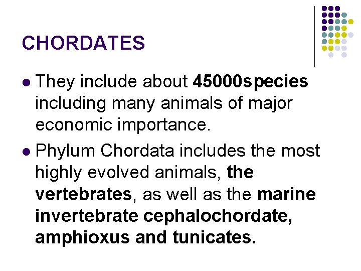 CHORDATES They include about 45000 species including many animals of major economic importance. l