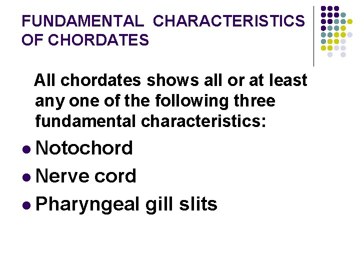 FUNDAMENTAL CHARACTERISTICS OF CHORDATES All chordates shows all or at least any one of