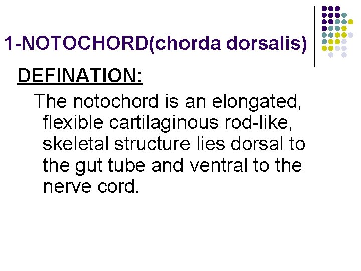 1 -NOTOCHORD(chorda dorsalis) DEFINATION: The notochord is an elongated, flexible cartilaginous rod-like, skeletal structure