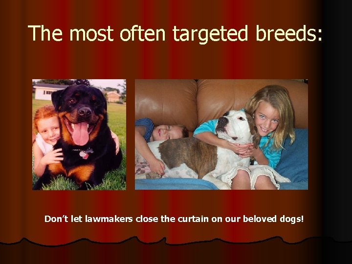 The most often targeted breeds: Don’t let lawmakers close the curtain on our beloved