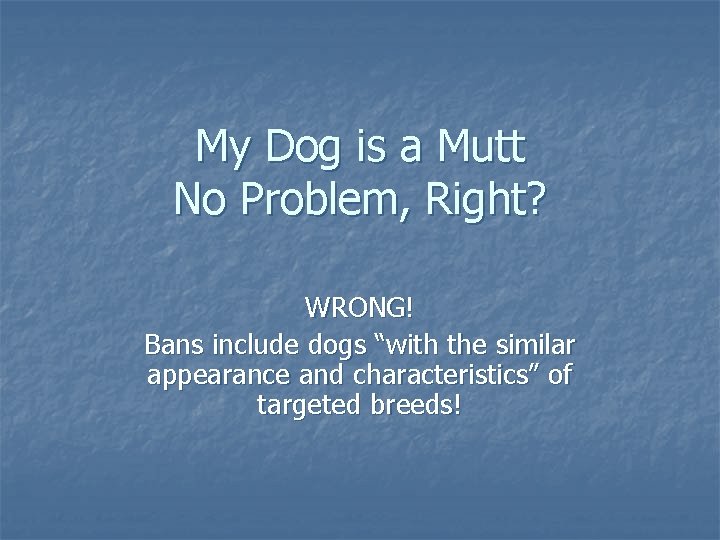 My Dog is a Mutt No Problem, Right? WRONG! Bans include dogs “with the