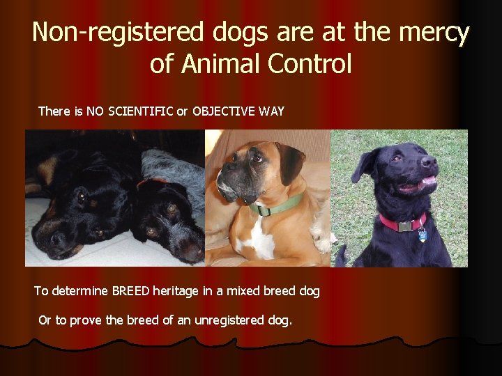 Non-registered dogs are at the mercy of Animal Control There is NO SCIENTIFIC or