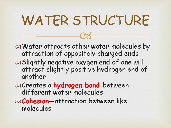 WATER STRUCTURE Water attracts other water molecules by attraction of oppositely charged ends Slightly