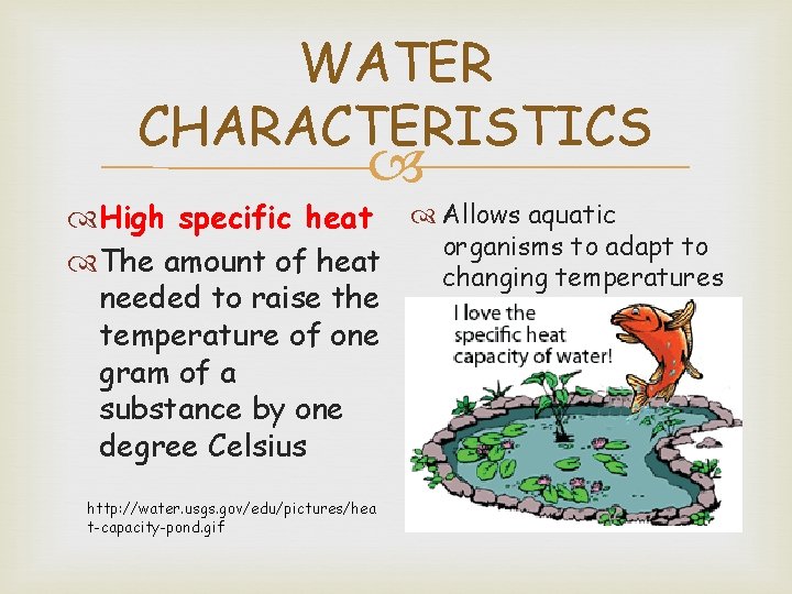 WATER CHARACTERISTICS High specific heat Allows aquatic organisms to adapt to The amount of