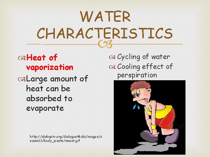 WATER CHARACTERISTICS Heat of vaporization Large amount of heat can be absorbed to evaporate