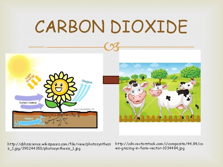 CARBON DIOXIDE http: //abhsscience. wikispaces. com/file/view/photosynthesi s_1. jpg/390244350/photosynthesis_1. jpg http: //cdn. vectorstock. com/i/composite/44, 84/co