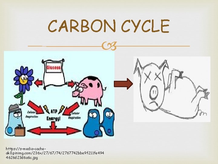 CARBON CYCLE https: //s-media-cacheak 0. pinimg. com/236 x/27/67/74/2767742 bbe 9 f 211 fe 494