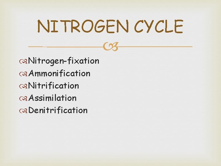 NITROGEN CYCLE Nitrogen-fixation Ammonification Nitrification Assimilation Denitrification 
