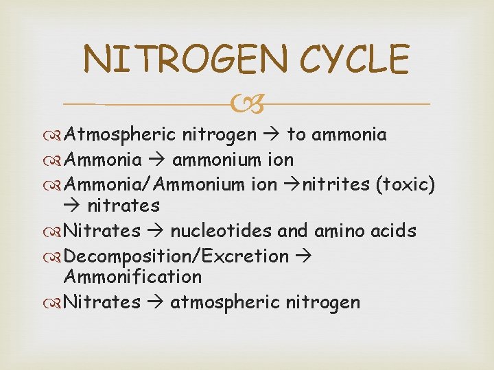 NITROGEN CYCLE Atmospheric nitrogen to ammonia Ammonia ammonium ion Ammonia/Ammonium ion nitrites (toxic) nitrates