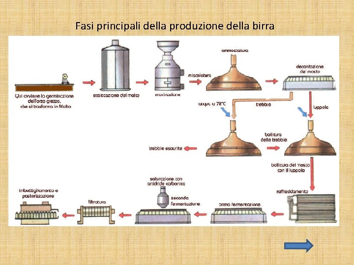 Fasi principali della produzione della birra 