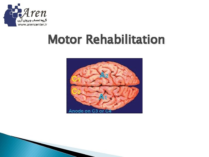 Motor Rehabilitation 