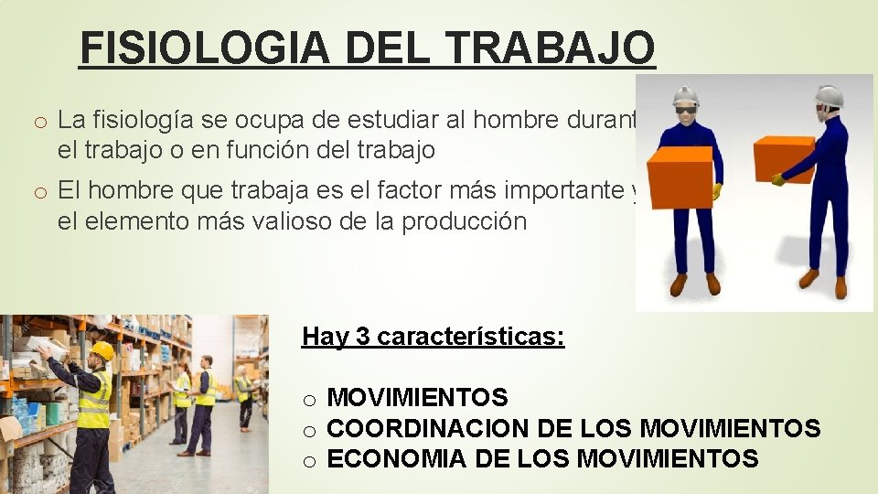 FISIOLOGIA DEL TRABAJO o La fisiología se ocupa de estudiar al hombre durante el