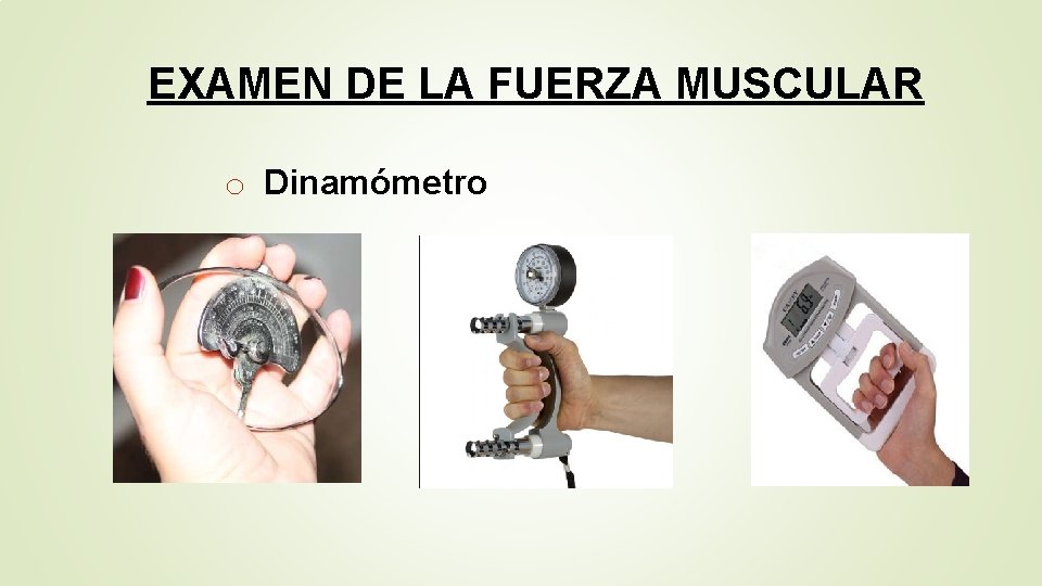 EXAMEN DE LA FUERZA MUSCULAR o Dinamómetro 