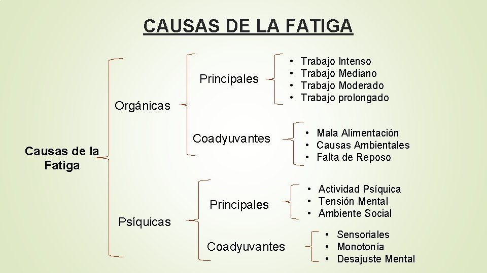 CAUSAS DE LA FATIGA Principales Orgánicas Coadyuvantes Causas de la Fatiga Principales Psíquicas Coadyuvantes