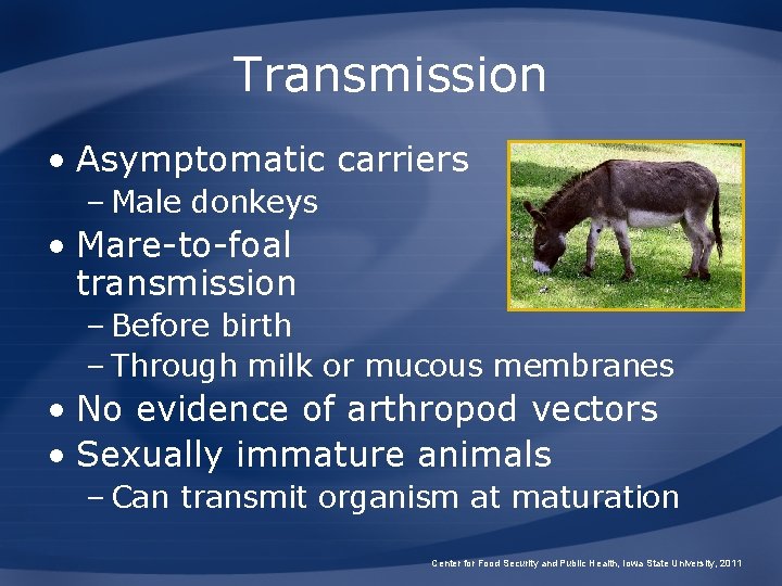 Transmission • Asymptomatic carriers – Male donkeys • Mare-to-foal transmission – Before birth –