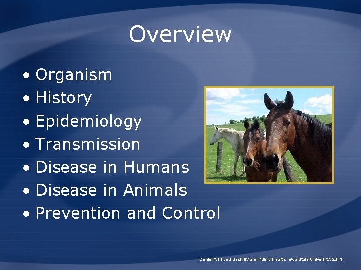 Overview • Organism • History • Epidemiology • Transmission • Disease in Humans •