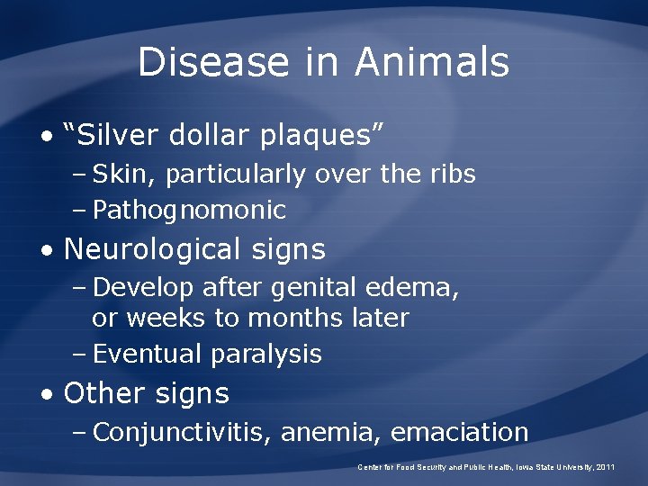 Disease in Animals • “Silver dollar plaques” – Skin, particularly over the ribs –