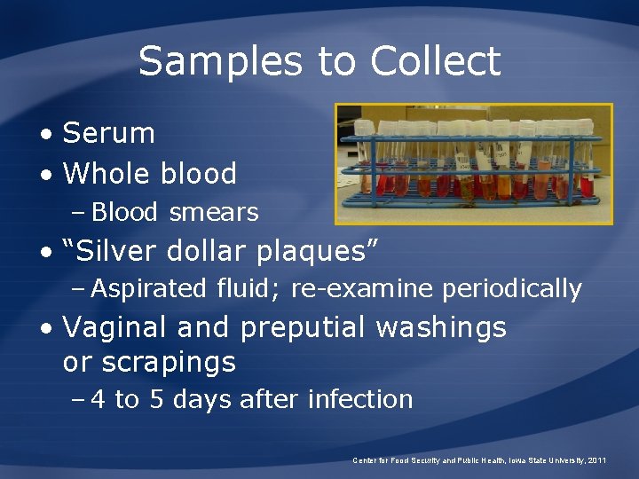 Samples to Collect • Serum • Whole blood – Blood smears • “Silver dollar