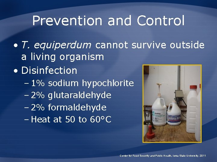 Prevention and Control • T. equiperdum cannot survive outside a living organism • Disinfection