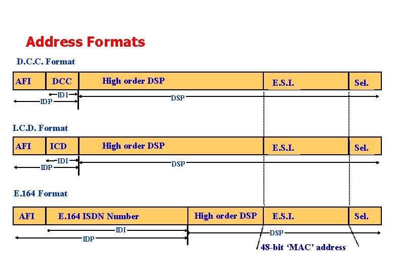 Address Formats D. C. C. Format AFI High order DSP DCC IDP IDI E.