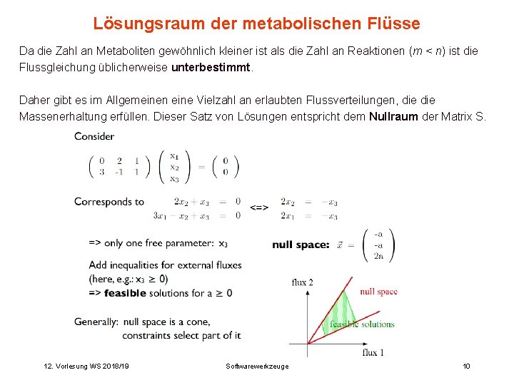 Lösungsraum der metabolischen Flüsse Da die Zahl an Metaboliten gewöhnlich kleiner ist als die