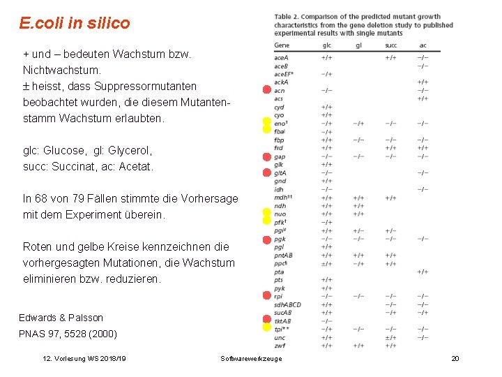 E. coli in silico + und – bedeuten Wachstum bzw. Nichtwachstum. heisst, dass Suppressormutanten