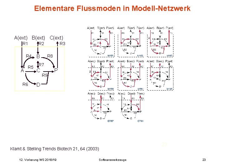 Elementare Flussmoden in Modell-Netzwerk A(ext) B(ext) C(ext) R 1 R 4 A R 5
