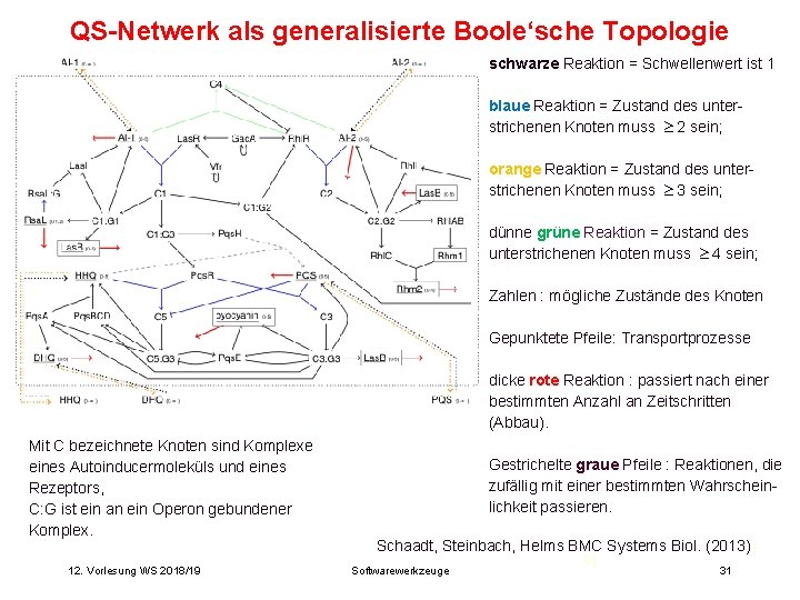 QS-Netwerk als generalisierte Boole‘sche Topologie schwarze Reaktion = Schwellenwert ist 1 blaue Reaktion =