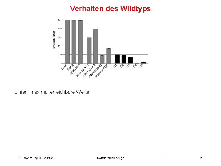 Verhalten des Wildtyps Linien: maximal erreichbare Werte 12. Vorlesung WS 2018/19 Softwarewerkzeuge 37 37