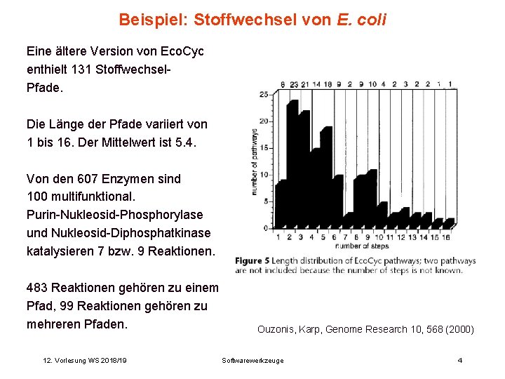 Beispiel: Stoffwechsel von E. coli Eine ältere Version von Eco. Cyc enthielt 131 Stoffwechsel.