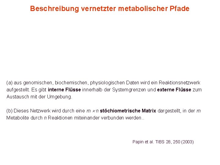 Beschreibung vernetzter metabolischer Pfade (a) aus genomischen, biochemischen, physiologischen Daten wird ein Reaktionsnetzwerk aufgestellt.