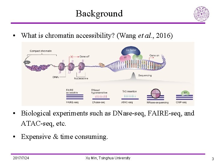 Background • What is chromatin accessibility? (Wang et al. , 2016) • Biological experiments