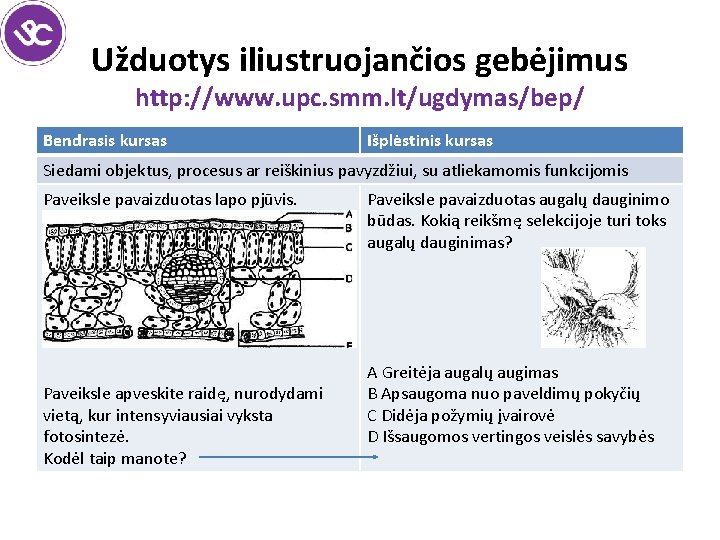 Užduotys iliustruojančios gebėjimus http: //www. upc. smm. lt/ugdymas/bep/ Bendrasis kursas Išplėstinis kursas Siedami objektus,