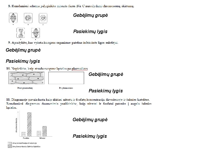 Gebėjimų grupė Pasiekimų lygis 