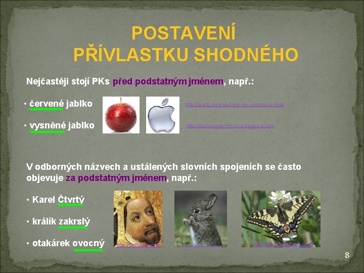 POSTAVENÍ PŘÍVLASTKU SHODNÉHO Nejčastěji stojí PKs před podstatným jménem, např. : • červené jablko