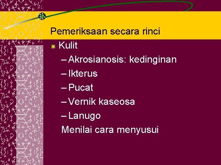 Pemeriksaan secara rinci Kulit – Akrosianosis: kedinginan – Ikterus – Pucat – Vernik kaseosa