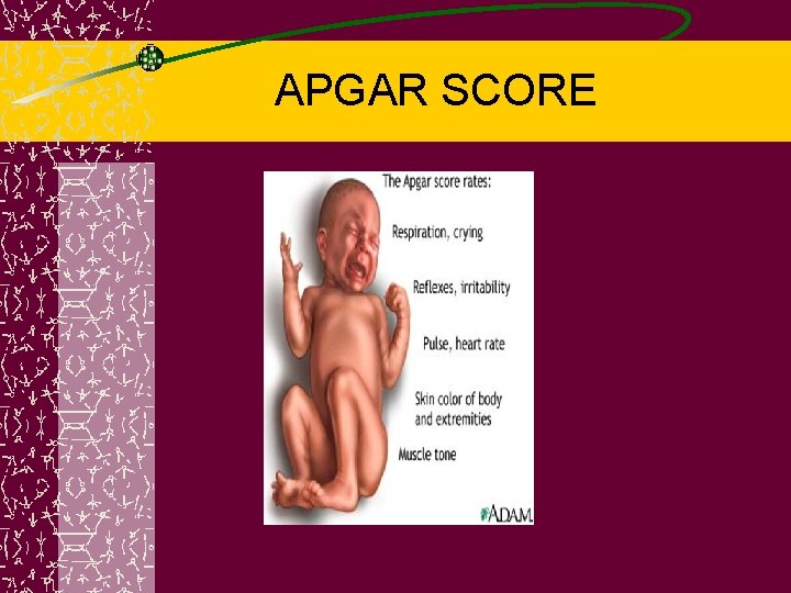 APGAR SCORE 