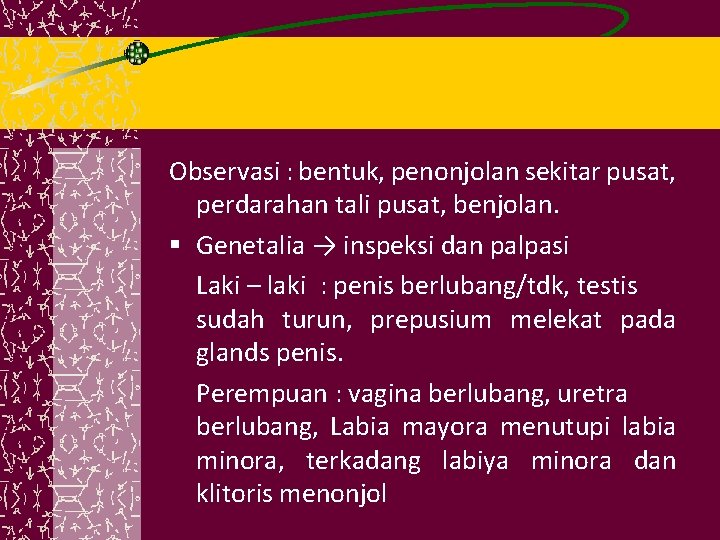 Observasi : bentuk, penonjolan sekitar pusat, perdarahan tali pusat, benjolan. § Genetalia → inspeksi