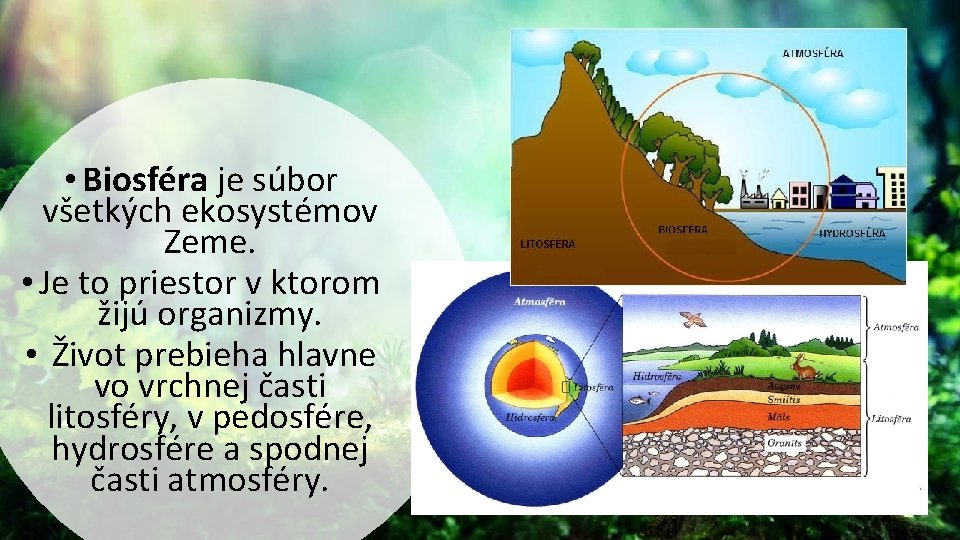  • Biosféra je súbor všetkých ekosystémov Zeme. • Je to priestor v ktorom