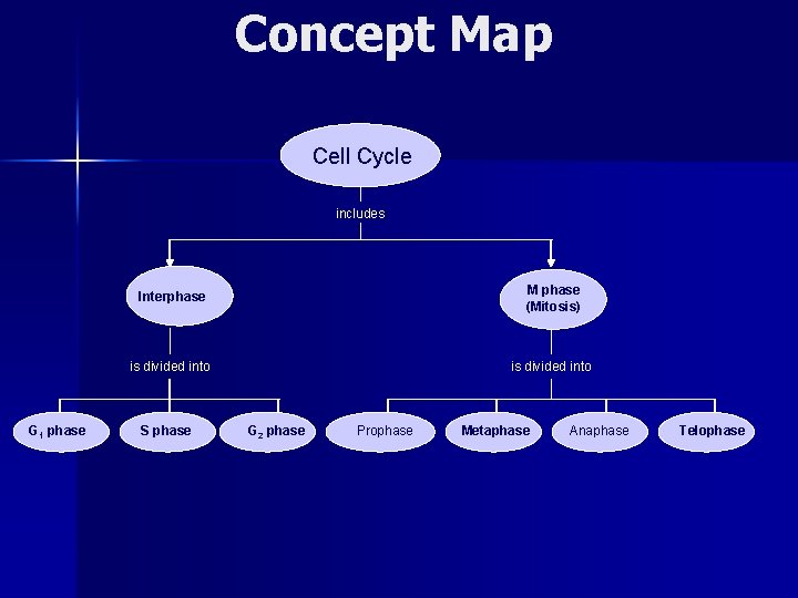 Concept Map Section 10 -2 Cell Cycle includes G 1 phase Interphase M phase