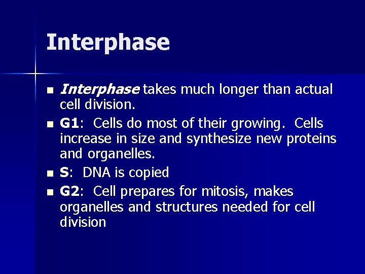 Interphase n n Interphase takes much longer than actual cell division. G 1: Cells