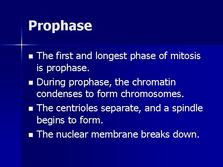 Prophase The first and longest phase of mitosis is prophase. n During prophase, the