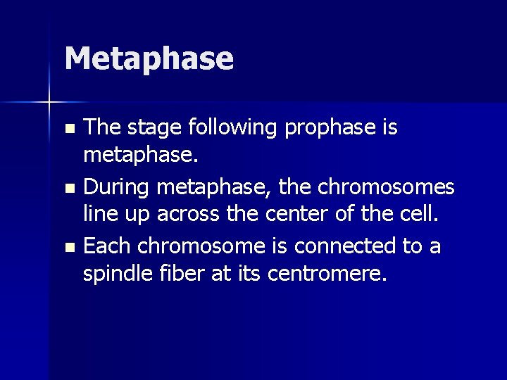 Metaphase The stage following prophase is metaphase. n During metaphase, the chromosomes line up