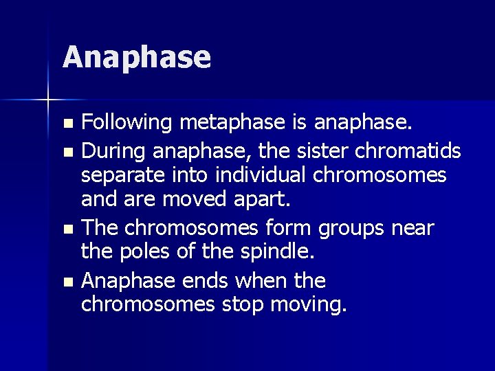 Anaphase Following metaphase is anaphase. n During anaphase, the sister chromatids separate into individual