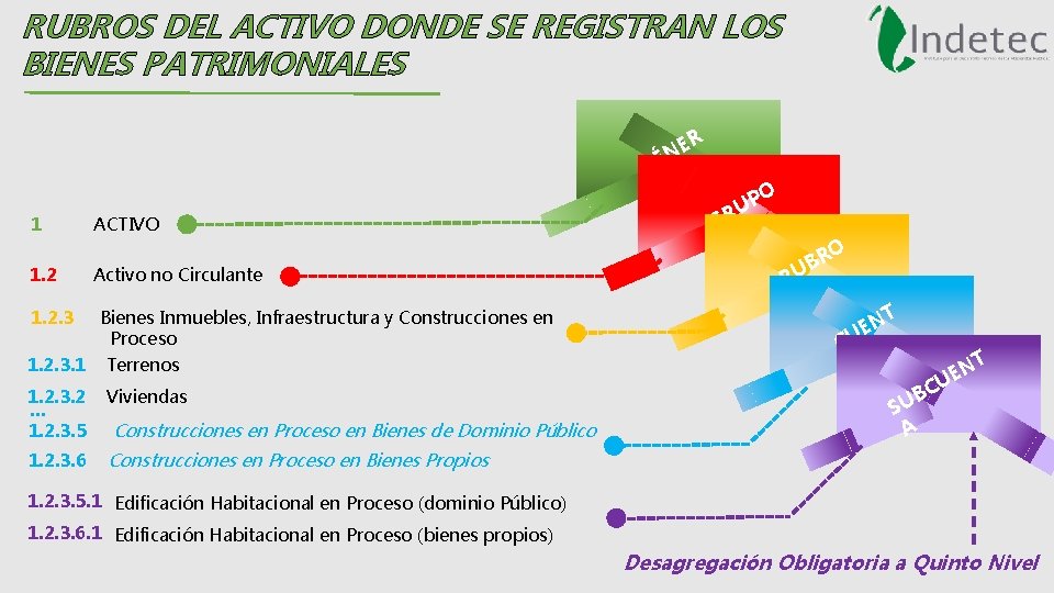 RUBROS DEL ACTIVO DONDE SE REGISTRAN LOS BIENES PATRIMONIALES R E N É G